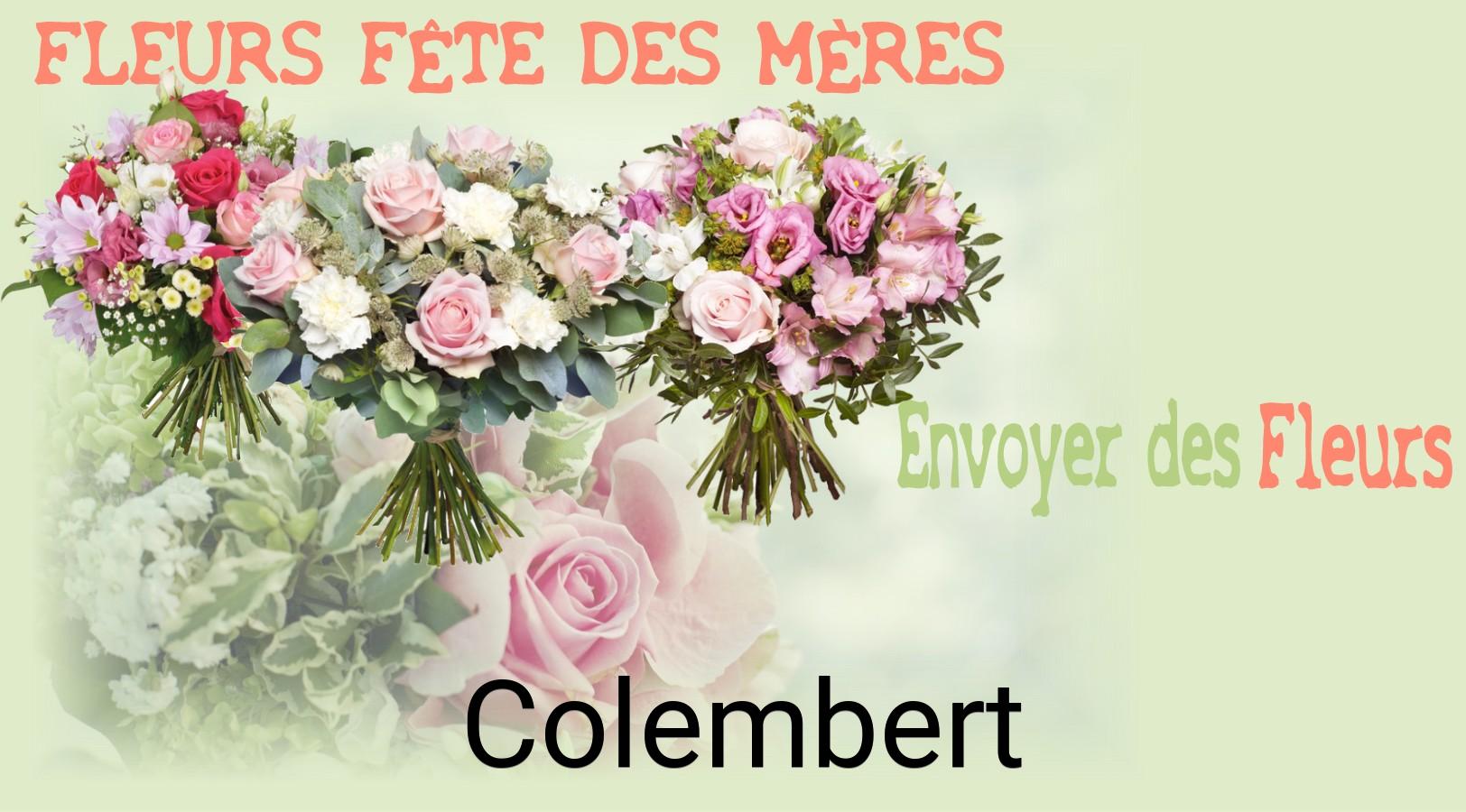 Bouquet de Fête des Mères livré à Colembert